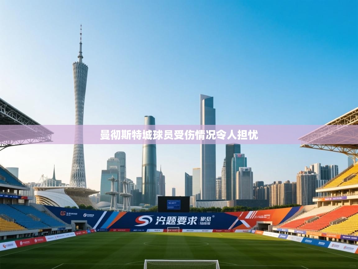 曼彻斯特城球员受伤情况令人担忧 第1张